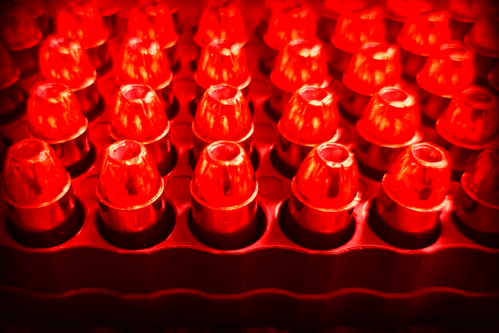 best ammo for self defense