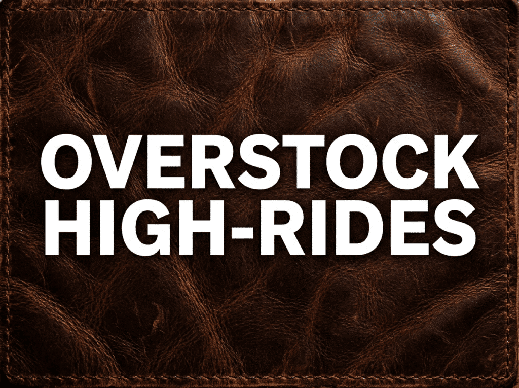 Magnetic Holster Sale - Overstocked High-Rides